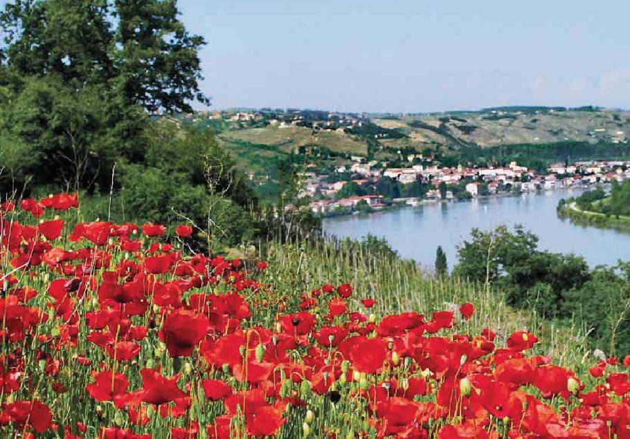 CRUCEROS FLUVIALES RIOS DE FRANCIA RIO SAONA RIO RODANO FRANCE RIVER CRUISES AMADEUS WATERWAYS