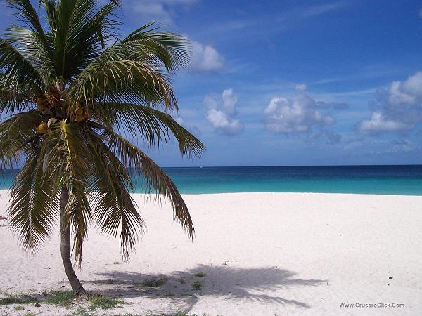 Una de las preciosas playas de la Isla de Aruba, junto a Venezuela CRUCEROS PLAYAS PRECIOSAS CARIBE