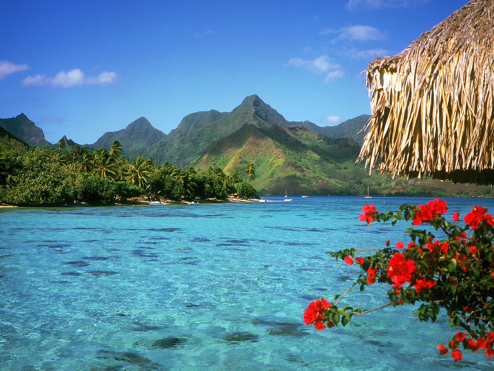 imagenes de paisajes imagenes de paisajes