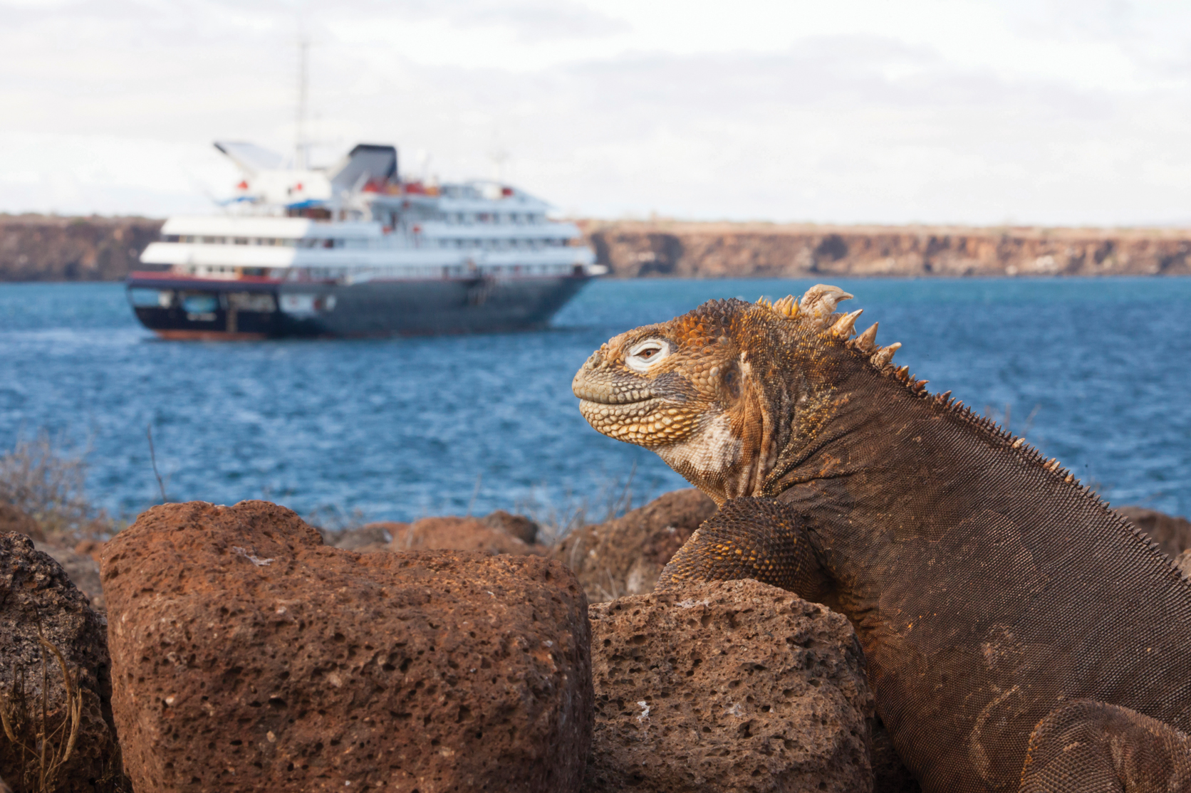  CRUCEROS ISLAS GALAPAGOS CRUCEROS SILVER GALAPAGOS CRUCEROS PARQUE NATURAL GALAPAGOS CRUCEROS EXPEDICION GALAPAGOS GALAPAGOS CRUISES LUXURY GALAPAGOS CRUISES CRUCEROS EN YATE CRUCEROS EN BARCO PEQUEÑO CRUCEROS SILVERSEA EXPEDITIONS CRUCEROS EXPEDICION SILVERSEA CRUCEROS DE LUJO LUGARES REMOTOS CRUCEROS EXPLORACION SILVERSEA CRUCEROS SILVER GALAPAGOS CRUCEROS BARCO PEQUEÑO CRUCEROS BUQUES DE LUJO CRUCEROS REMOTOS CRUCEROS UNICOS CRUCEROS PARA MILLONARIOS CRUCEROS PARA RICOS CRUCEROS EXCLUSIVOS #LuxuryCruises #SilverSea #SilverseaExpeditions #SilverGalapagos #Viajesdelujo #viajesexclusivos #crucerosexploracion #expeditioncruises