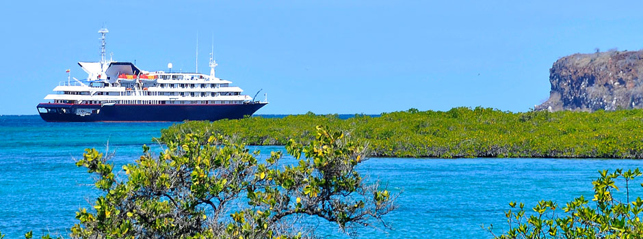   CRUCEROS ISLAS GALAPAGOS CRUCEROS SILVER GALAPAGOS CRUCEROS PARQUE NATURAL GALAPAGOS CRUCEROS EXPEDICION GALAPAGOS GALAPAGOS CRUISES LUXURY GALAPAGOS CRUISES CRUCEROS EN YATE CRUCEROS EN BARCO PEQUEÑO CRUCEROS SILVERSEA EXPEDITIONS CRUCEROS EXPEDICION SILVERSEA CRUCEROS DE LUJO LUGARES REMOTOS CRUCEROS EXPLORACION SILVERSEA CRUCEROS SILVER GALAPAGOS CRUCEROS BARCO PEQUEÑO CRUCEROS BUQUES DE LUJO CRUCEROS REMOTOS CRUCEROS UNICOS CRUCEROS PARA MILLONARIOS CRUCEROS PARA RICOS CRUCEROS EXCLUSIVOS #LuxuryCruises #SilverSea #CrucerosAventura #ViajesdeNovios #CrucerosDiferentes #crucerosislasgalapagos #crucerosgalapagos #SilverseaExpeditions #SilverGalapagos #Viajesdelujo #viajesexclusivos #crucerosexploracion #expeditioncruises #crucerosexpedicion #crucerosnaturaleza #PaisajeGalapagos #NaturalezaMaravillosa #NaturalezaVirgen