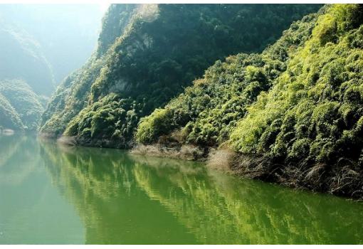 http://www.cruceroclick.com/admin/archivos/3629_BIM_RIO%20YANGTZE.jpg