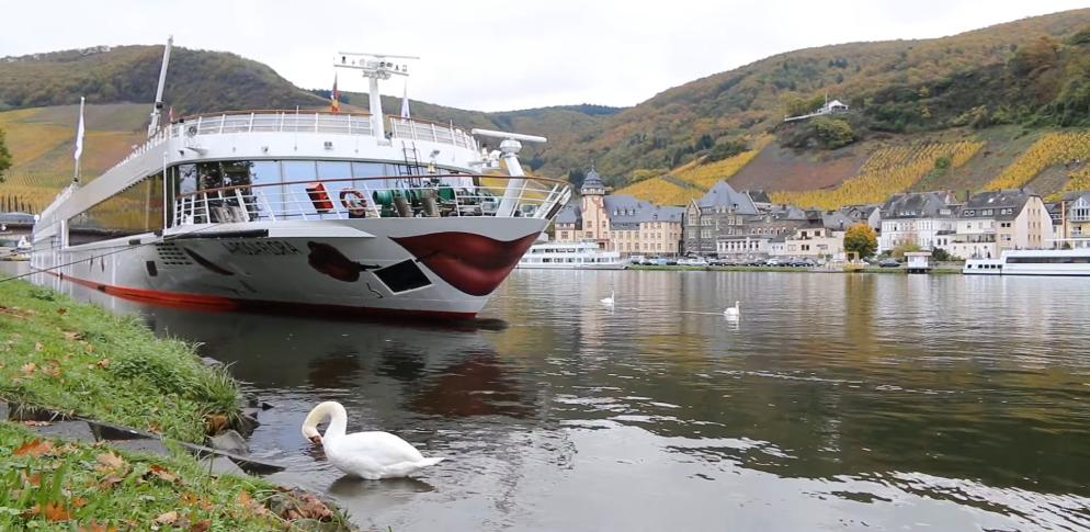 A-ROSA-FLORA A ROSA FLORA A ROSA CRUCEROS A-ROSA KREUZFAHRTEN AROSA CRUISES CRUCEROS AROSA CRUCEROS EN ESPAÑOL CRUCEROS PANAVISION CRUCEROS FLUVIALES PANAVISION CRUCEROS DANUBIO CRUCEROS ALEMANIA CRUCEROS FRANCIA CRUCEROS RIO RHIN RHINE CRUISES CRUCEROS COLONIA CRUCEROS FRANKFURT CRUCEROS BAMBERG CRUCEROS WURZBURG CRUCEROS MAIN CRUCEROS NUREMBERG CRUCEROS RATISBONA #Arosa #ArosaFlora #Arosacruises #A-Rosa #CrucerosArosa #CrucerosPanavision #FluvialesPanavision #CrucerosFluviales #CrucerosDanubio #DanubeCruises #RiverCruises #DanubeCruises #MainRiver #MainCruceros #RatisbonaCruises #CrucerosWurzburgo #CrucerosFrankfurt #CrucerosColonia #CrucerosPorRios #CrucerosEuropa #EuropeCruises #CrucerosBaviera #ViajesBaviera #CrucerosFamilia #CrucerosSeguros #CrucerosPequeños #CrucerosFamiliares