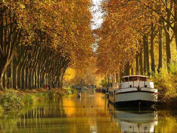 El Otoño en el Canal du Midi les dará un impactante espectáculo de color y belleza natural CRUCEROS FLUVIALES CANALES DE FRANCIA ANJODI CRUCEROS CANAL DU MIDI CRUCEROS EN FAMILIA CRUCEROS CON AMIGOS CRUCEROS DE LUJO CHARTER CRUCEROS CHARTER BARCOS CRUCEROS DE LUJO FAMILIAS CANAL DU MIDI
