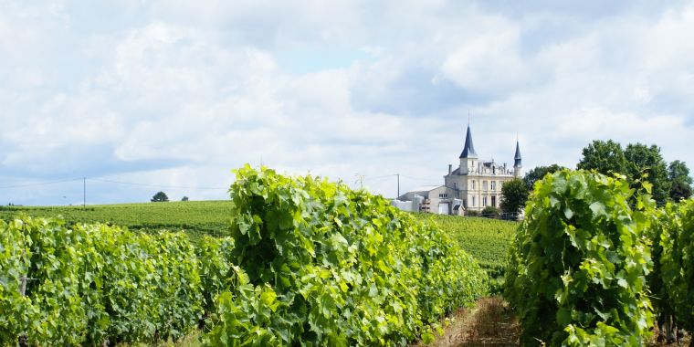 Viñedos en la región francesa de Burdeos (Bordeaux) CRUCEROS FLUVIALES CANALES DE FRANCIA CANAL DE GARONNE ROSA HOTEL BARGE DESCUENTOS OFERTAS CRUCEROS EN FAMILIA CRUCEROS EN GRUPO ALQUILER CHARTER DE CRUCEROS BARCOS PRIVADOS CRUCEROS SUR DE FRANCIA