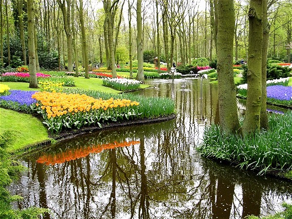 AMSTERDAM CRUCEROS HOLANDA CANALES SAVOIR FAIRE TULIP HOLLAND CRUISES