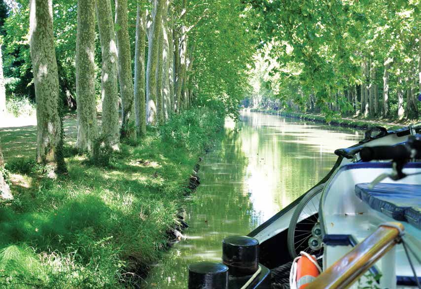 Paisaje del Canal du Midi (Francia) visto desde nuestro buque CRUCEROS CANAL DU MIDI CRUCEROS CANALES DE FRANCIA CRUCEROS FLUVIALES PRIVADOS