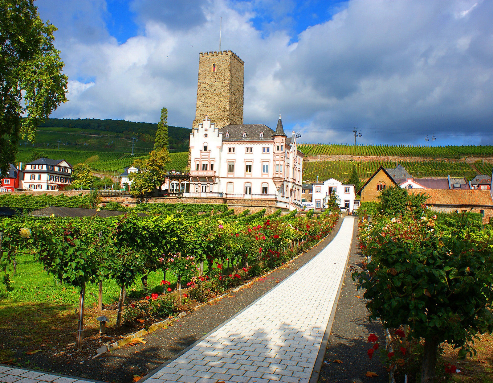 RUDESHEIM CRUCEROS FLUVIALES RHIN CRUCEROS ALEMANIA RHINE CRUISES RIVER CRUISES RHINE CRUISES CRUCEROS POR EL RHIN VIÑEDOS DEL RHIN CRUCEROS VINO RÜDESHEIM-AM-RHEIN CREUERS BIDAIAK CRUCEROA CRUCEROS FLUVIALES RHIN CRUCEROS VINO #CrucerosFluviales #Cruceros #CrucerosRhin #RhineCruises #Creuers #CreuersFluvials #CrucerosFluviales #CrucerosAlemania #RUDESHEIM #WineCruises #CrucerosVino #ViajesAlemania #VacacionesAlemania #Boosenburg #Castillo #Castle #Schloss #BoosenburgSchloss