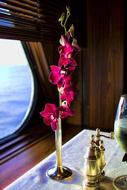 CRUCEROS DE LUJO MS RYNDAM CRUCEROS HOLLAND AMERICA PINNACLE GRILL