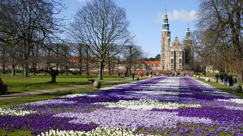CRUCEROS MSC CRUCEROS NORTE DE EUROPA DESCUENTOS OFERTAS COPENHAGUE DINAMARCA OFERTAS CRUCEROS CAPITALES BALTICAS CRUCEROS BALTICO OFERTAS