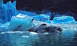 El hielo en Tracy Arm brilla con su intenso color azúl fruto de la refracción de la luz en el hielo