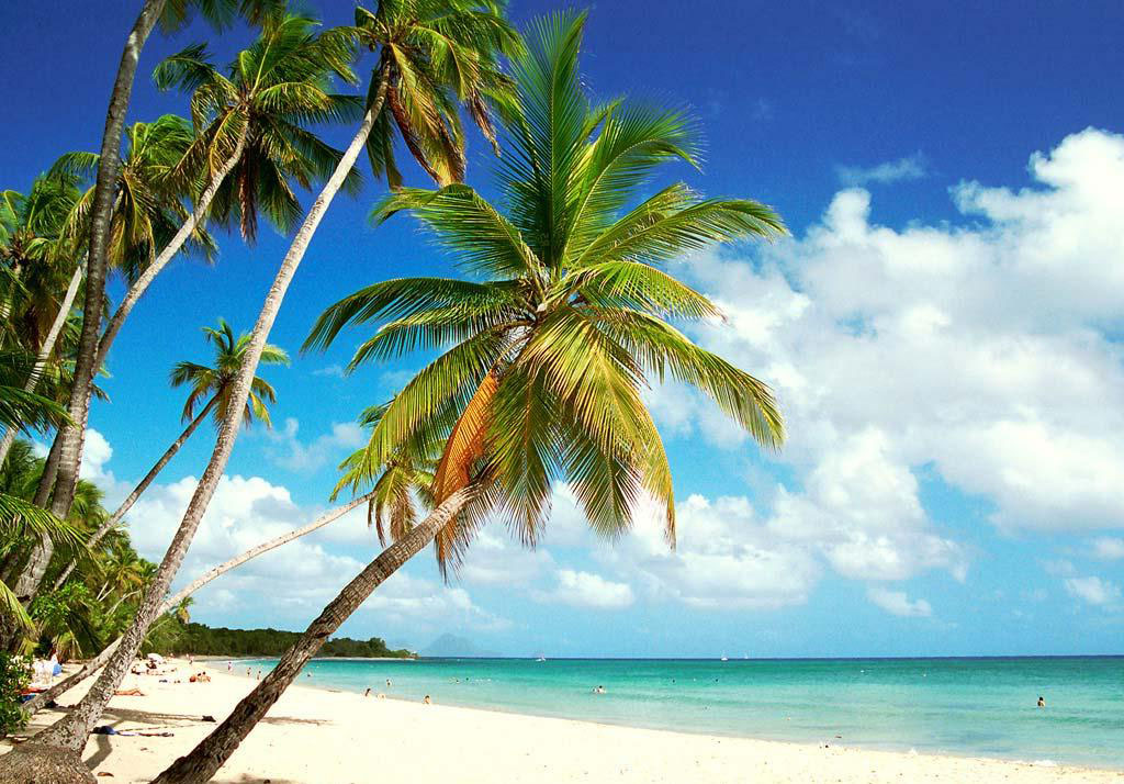 BASSE-TERRE GUADELOUPE CARIBE GUADALUPE ANTILLAS MENORES CRUCEROS ANTILLAS CRUCEROS GUADALUPE CRUCEROS ISLAS CARIBE CROISIERES GUADELOUPE CRUISES CARIBBEAN CRUISES GUADALUPE CRUCEROS CARIBE #Guadeloupe #Basse-Terre #FeuillereBeach #Playa #PlayasCaribe #CruceroPlayasCaribe