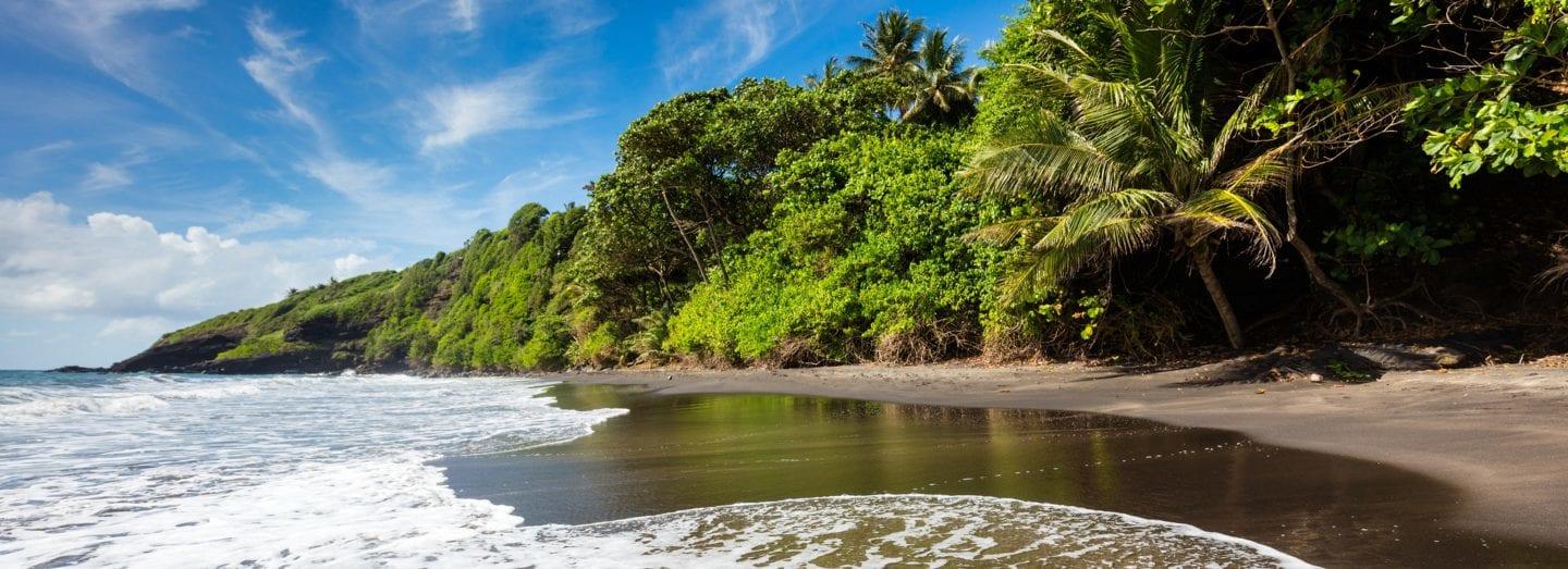 BASSE-TERRE GUADELOUPE CARIBE GUADALUPE ANTILLAS MENORES CRUCEROS ANTILLAS CRUCEROS GUADALUPE CRUCEROS ISLAS CARIBE CROISIERES GUADELOUPE CRUISES CARIBBEAN CRUISES GUADALUPE CRUCEROS CARIBE #Guadeloupe #Basse-Terre #GrandeAnse #Playa