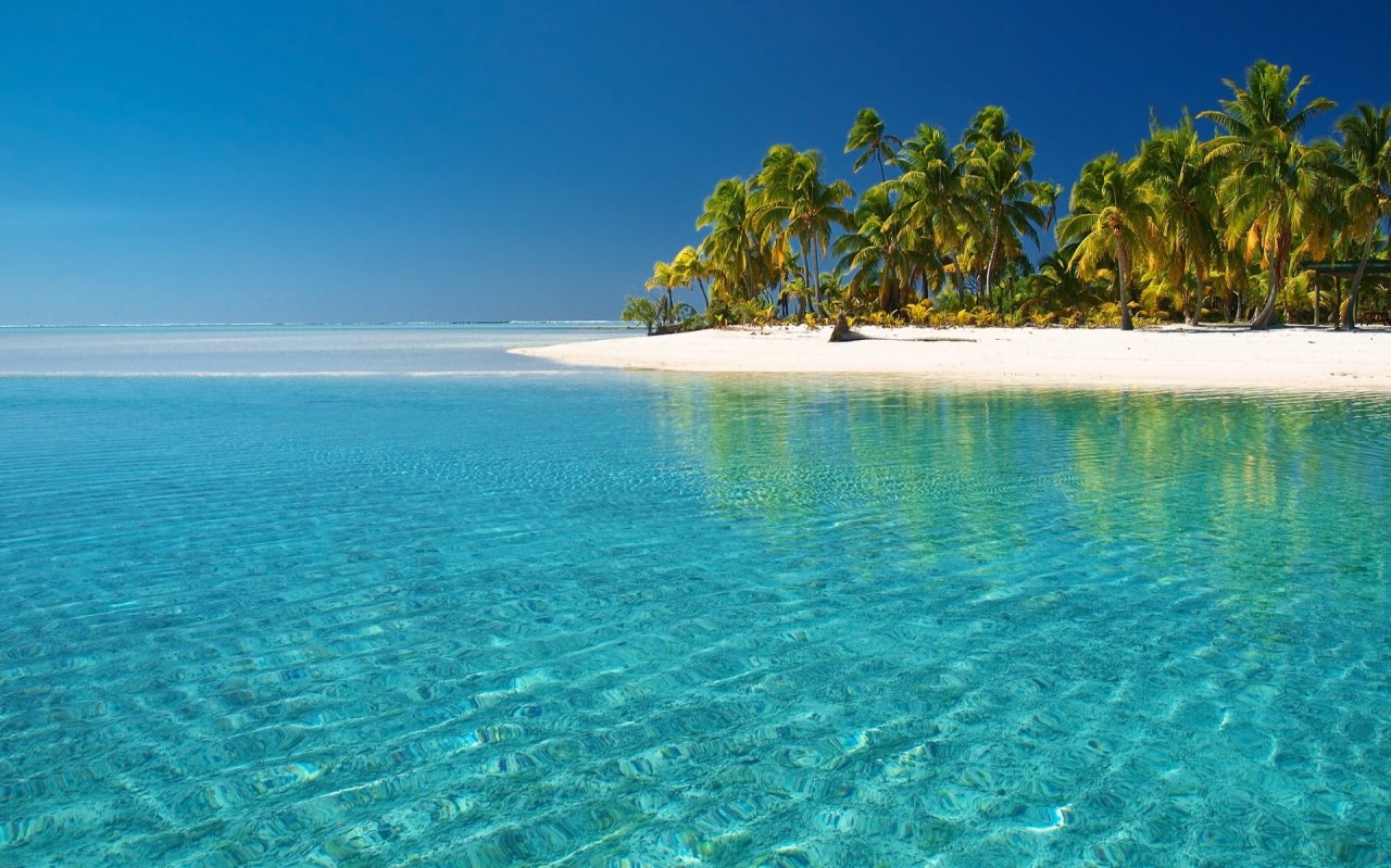 BASSE-TERRE GUADELOUPE CARIBE GUADALUPE ANTILLAS MENORES CRUCEROS ANTILLAS CRUCEROS GUADALUPE CRUCEROS ISLAS CARIBE CROISIERES GUADELOUPE CRUISES CARIBBEAN CRUISES GUADALUPE CRUCEROS CARIBE #Guadeloupe #Basse-Terre #Playa #PlayasParadisiacas #CrucerosPlayasCaribe