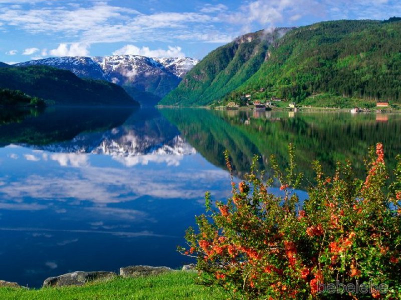 CRUCEROS FIORDOS NORUEGOS NORWEGIAN FJORDS CRUISES