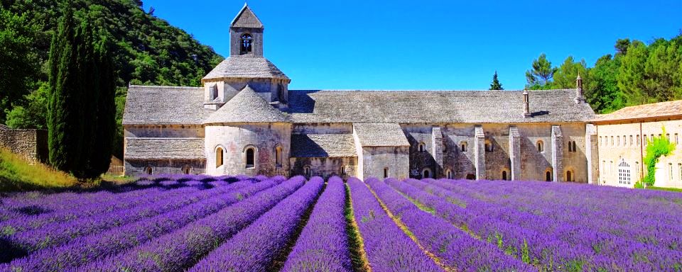 Abbey de Senanque, cerca de Aix-en-Provence, rodeada de campos de lavanda, típica de la Provenza Francesa CRUCEROS FRANCIA PROVENZA MARSELLA CRUCEROS MEDITERRANEO CROISIERES MEDITERRANEE CROCIERE MEDITERRANEO MEDITERRANEAN CRUISES CREUERS MEDITERRANIA CRUCEROS COSTA AZUL CRUCEROS FRANCIA