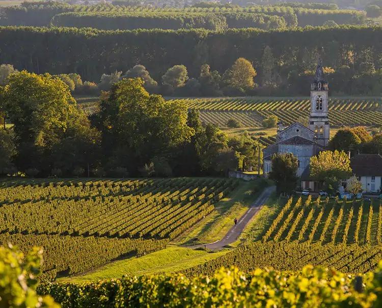 CRUCEROS VIÑEDOS BURDEOS SAINT EMILION LIBOURNE BORDEAUX CRUCERO GARONA GARONNE CROISIERES CRUCEROS LA GIRONDE CROISIERES DORDOGNE CROISIERES CRUCEROS VIÑEDOS CRUCEROS ENOLOGICOS #WineCruises #Wineyard #Libourne #SaintEmilion #FranceCruises