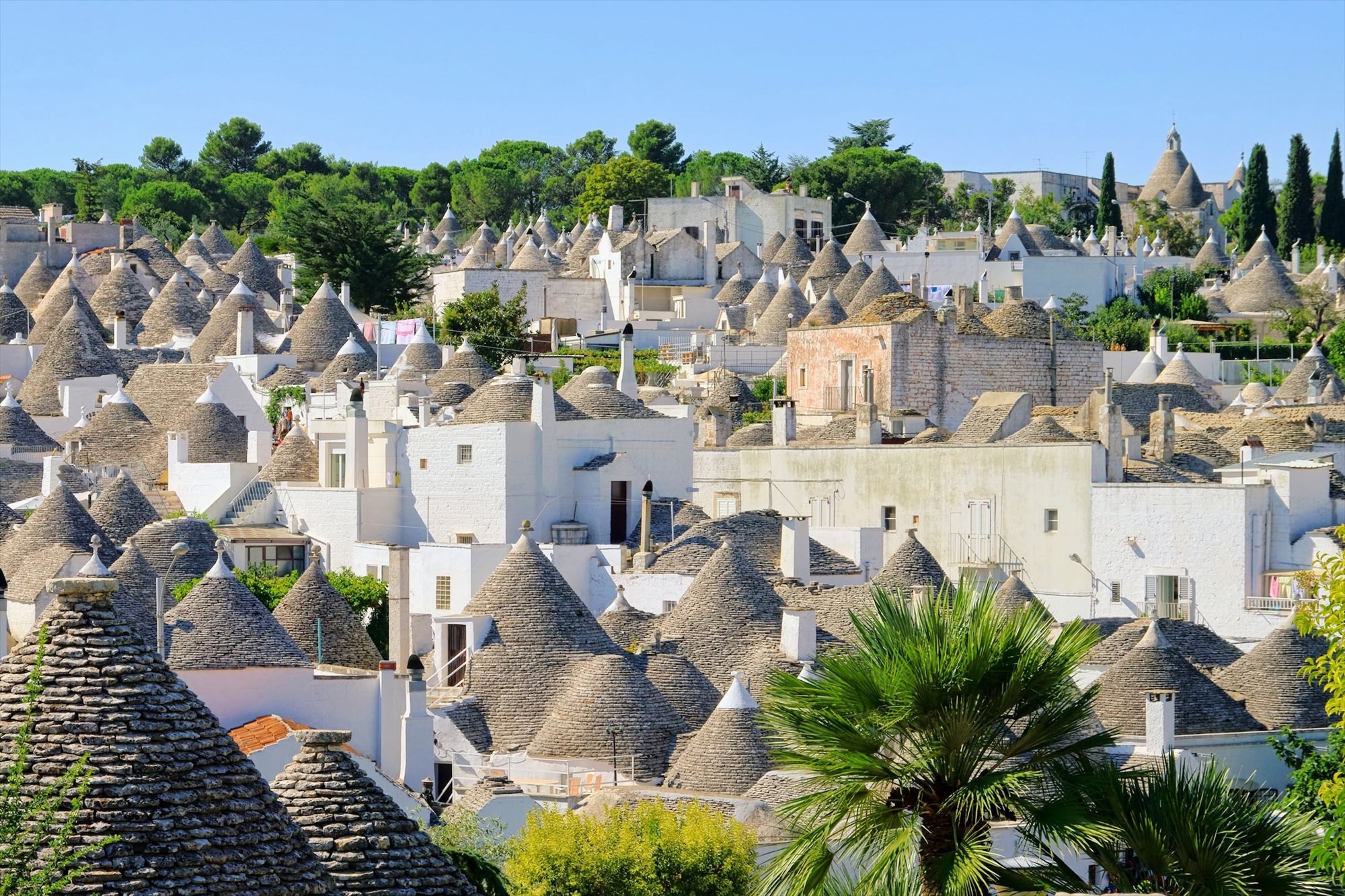 CRUCEROS BARI CRUCEROS PUGLIA CRUCEROS APULIA CRUCEROS ITALIA CRUCEROS SUR DE ITALIA BARI CROCIERE BARI CRUISES ALBEROBELLO SASSI