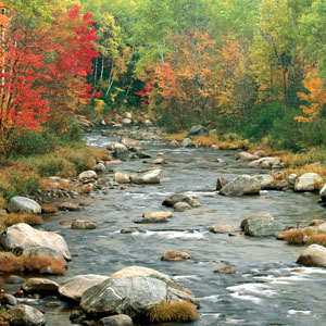 Uno de los bellos rios de New Hampshire en Otoño... CRUCEROS NEW ENGLAND NUEVA INGLATERRA OTOÑO CRUCEROS CANADA