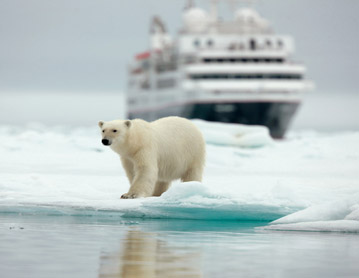 OSO POLAR SILVERSEA EXPEDITIONS CRUCEROS DE LUJO SVALBARD POLO NORTE
