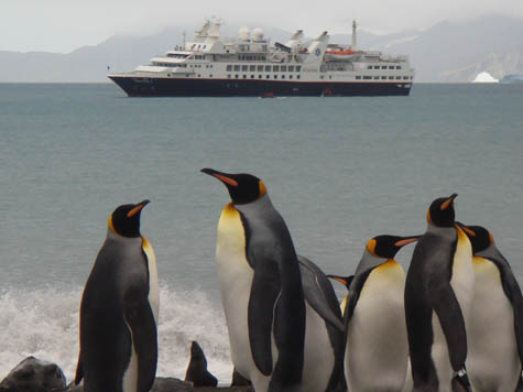 El Silver Explorer les llevará hasta lo más profundo de las Regiones Polares CRUCEROS DE LUJO ANTARTIDA CRUCEROS DE EXPLORACION DE LUJO CRUCEROS DESCUBRIMIENTO ANTARTIDA CRUCEROS POLARES CRUCEROS DE EXPEDICION POLAR CRUCEROS ROMPEHIELOS CRUCEROS USHUAIA CRUCEROS VIAJE DE LUJO SILVER EXPLORER CRUCEROS DE LUJO EXPLORACION SILVERSEA CRUCEROS ANTARTIDA